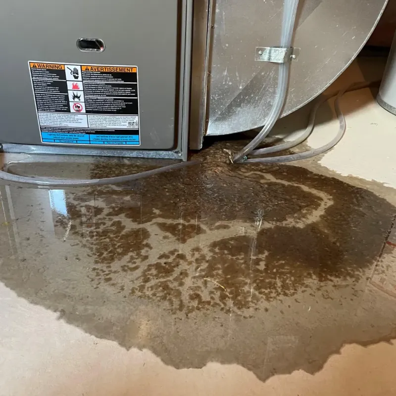 Appliance Leak Cleanup in Cullman County, AL